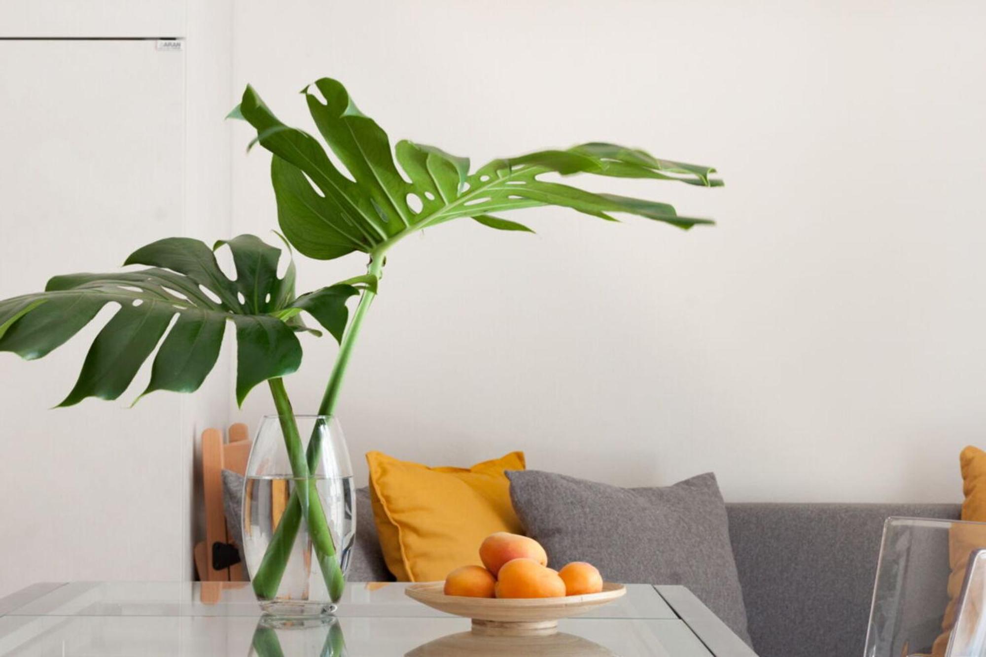 Italian Experience-Lungarno Suite Apartment Firenze Eksteriør bilde